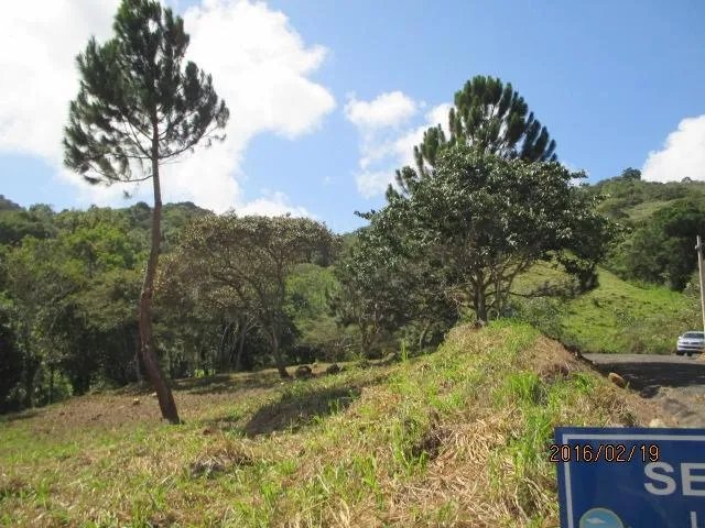Two private lots for sale in Altos del María
