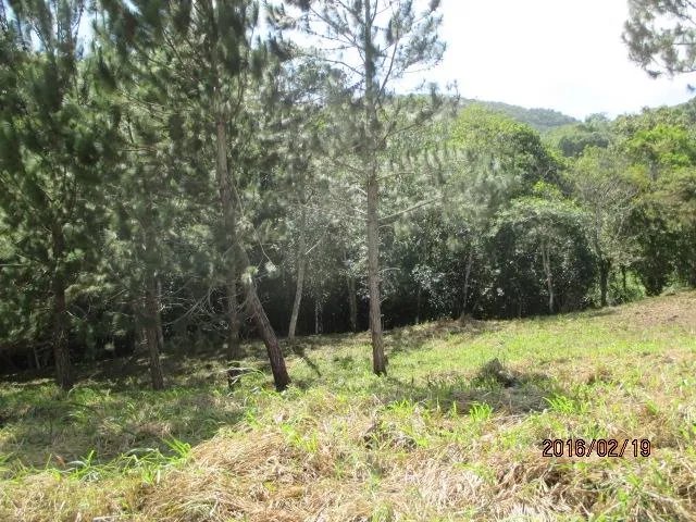 Two private lots for sale in Altos del María