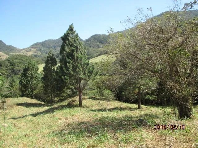 Two private lots for sale in Altos del María