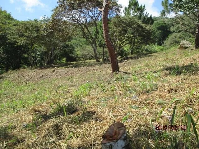 Two private lots for sale in Altos del María