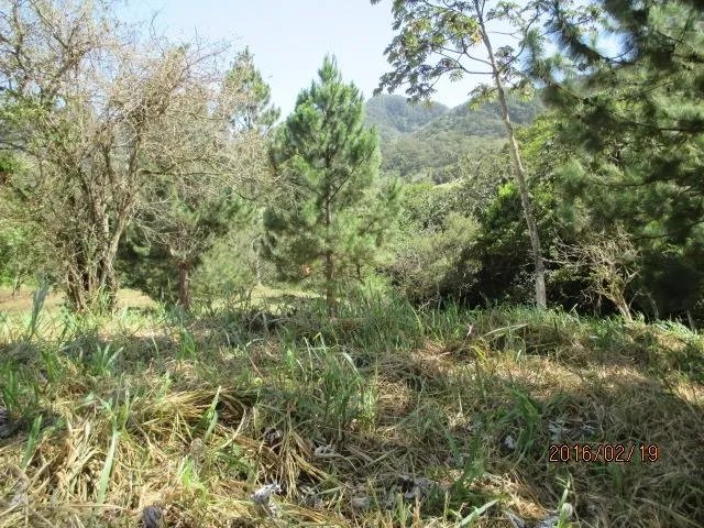 Two private lots for sale in Altos del María