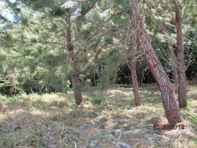 Two private lots for sale in Altos del María