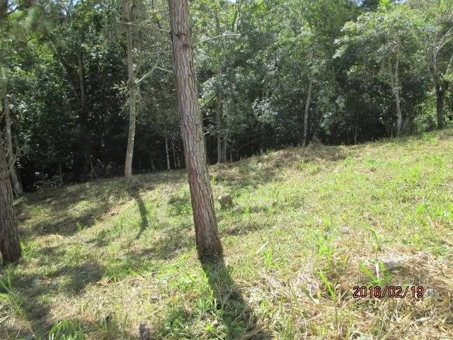 Two private lots for sale in Altos del María