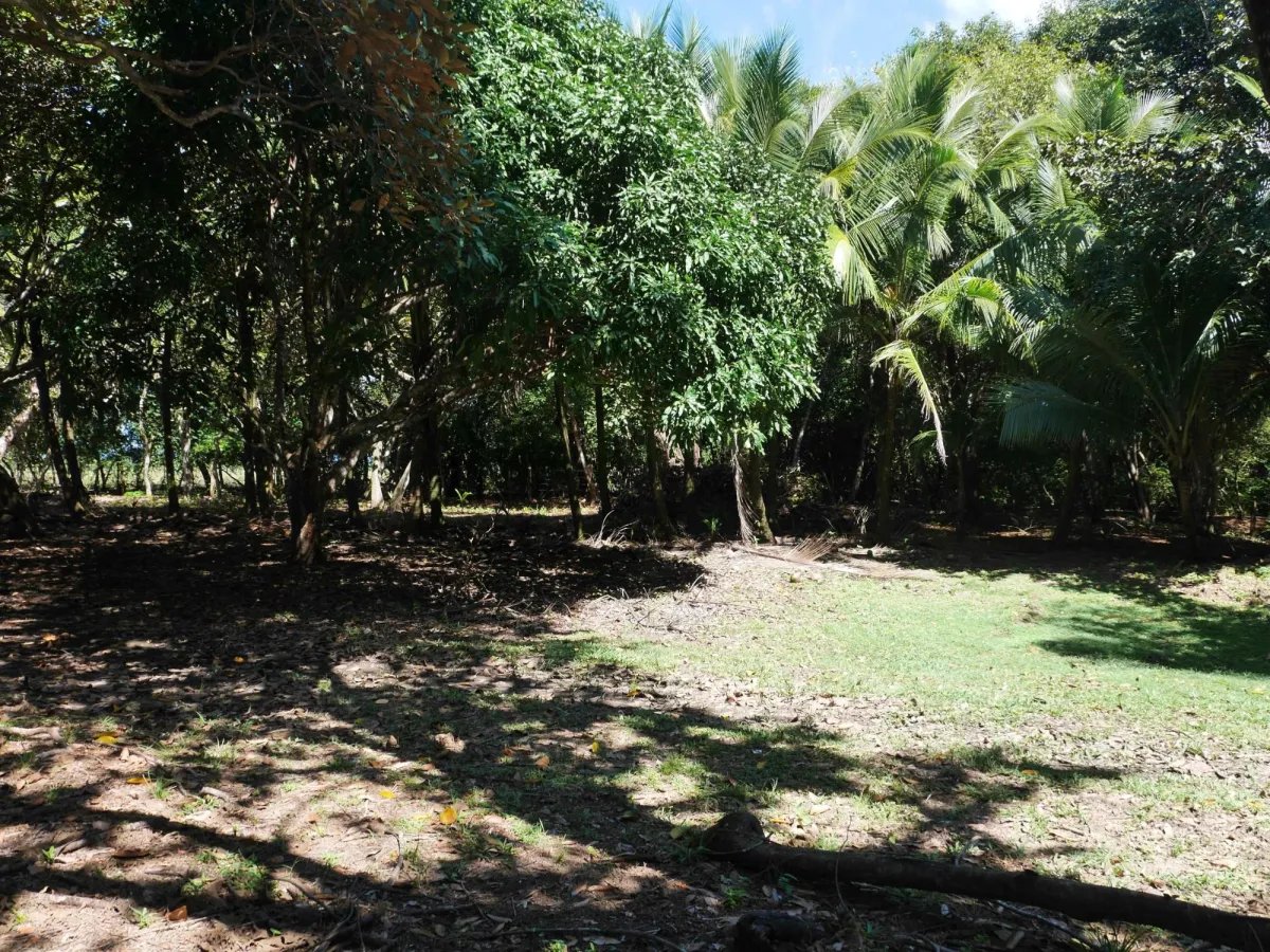 Apartamento à Venda em San Lorenzo