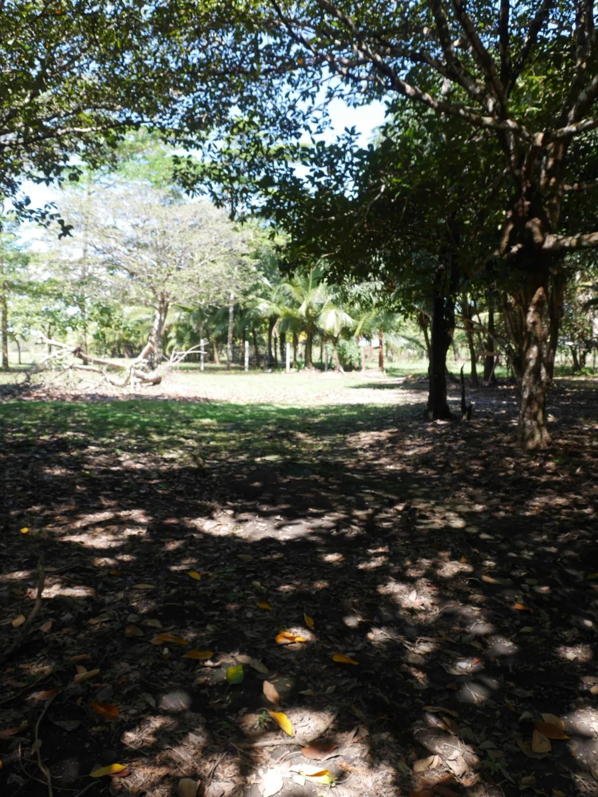 Apartamento à Venda em San Lorenzo