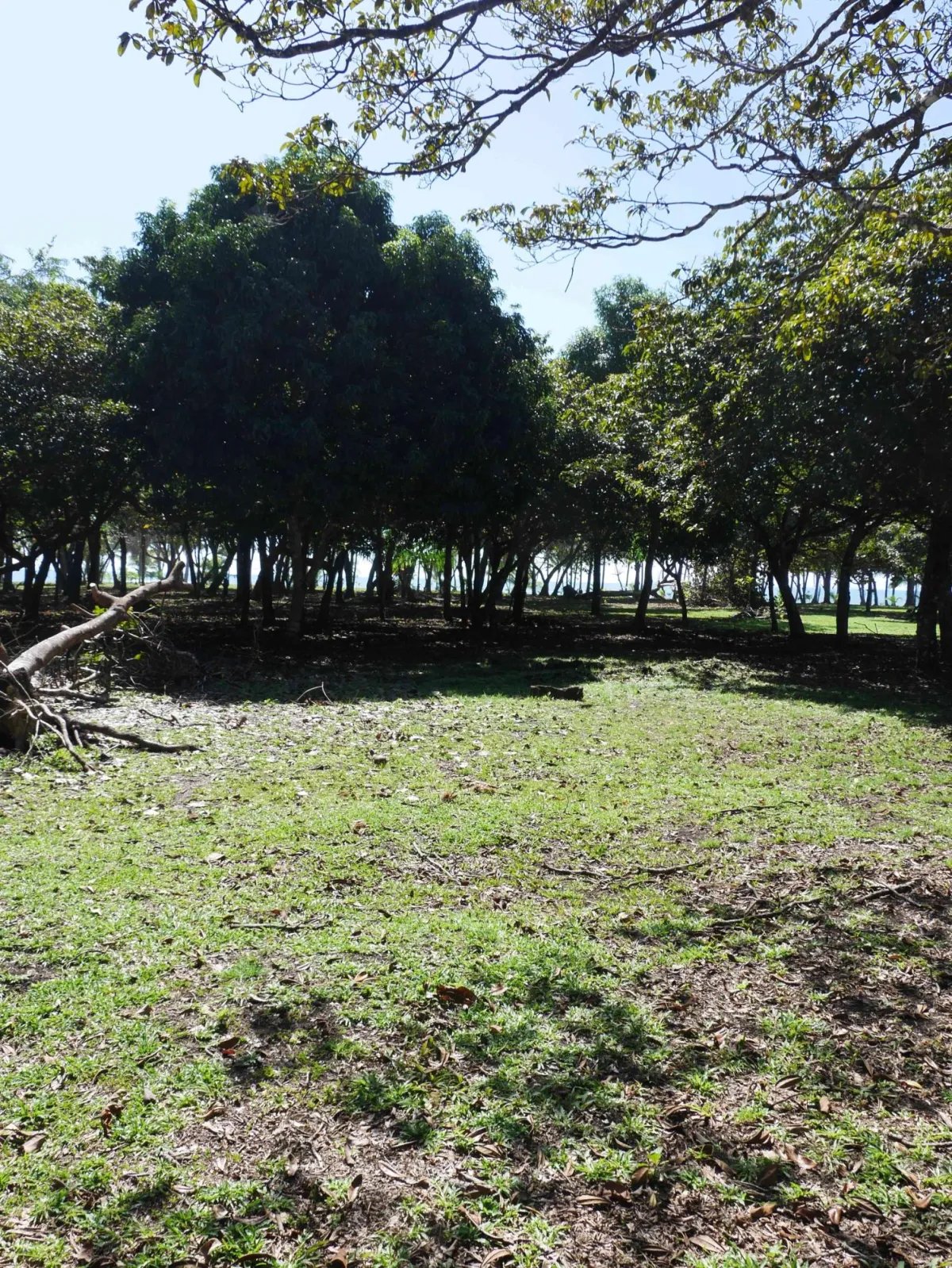 Apartamento à Venda em San Lorenzo