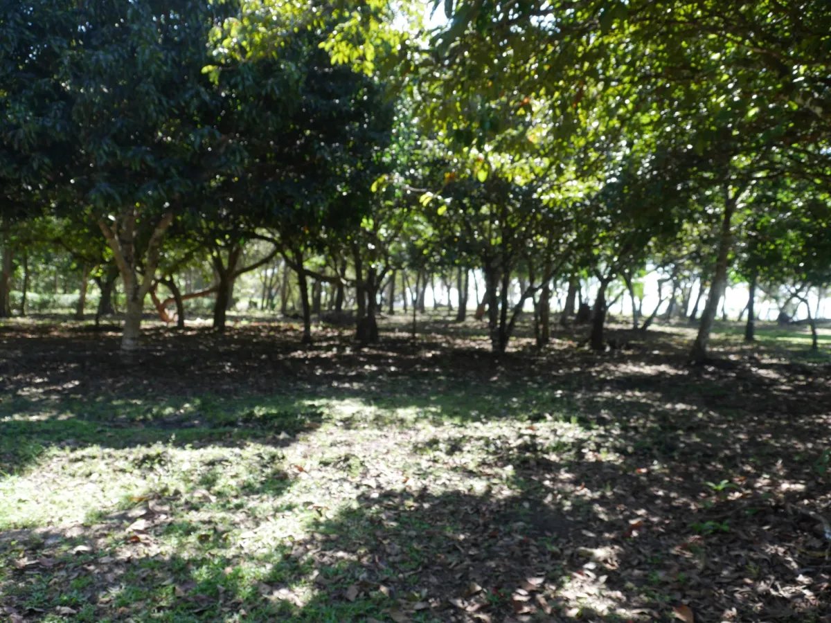 Apartamento à Venda em San Lorenzo