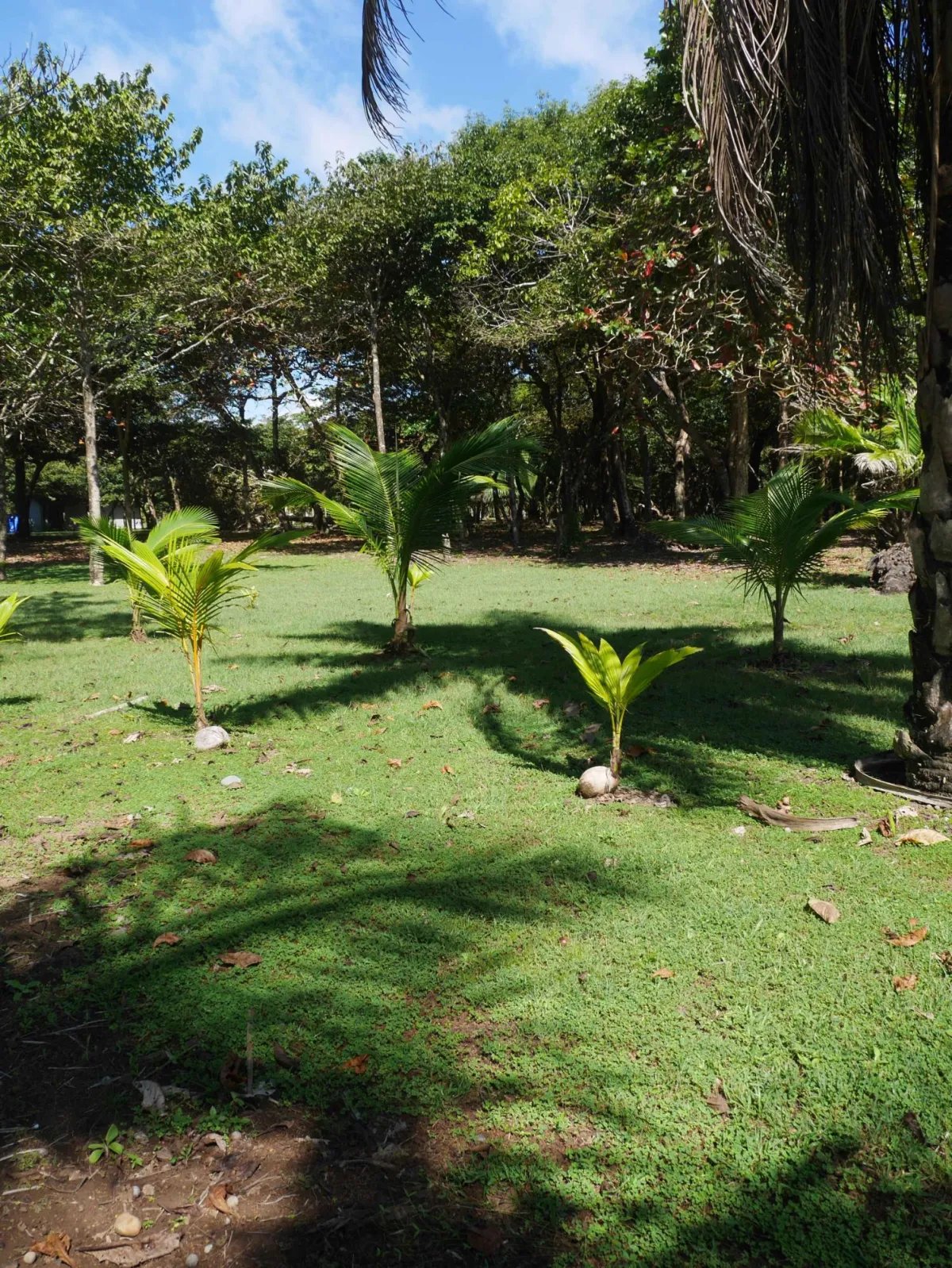 Apartamento à Venda em San Lorenzo