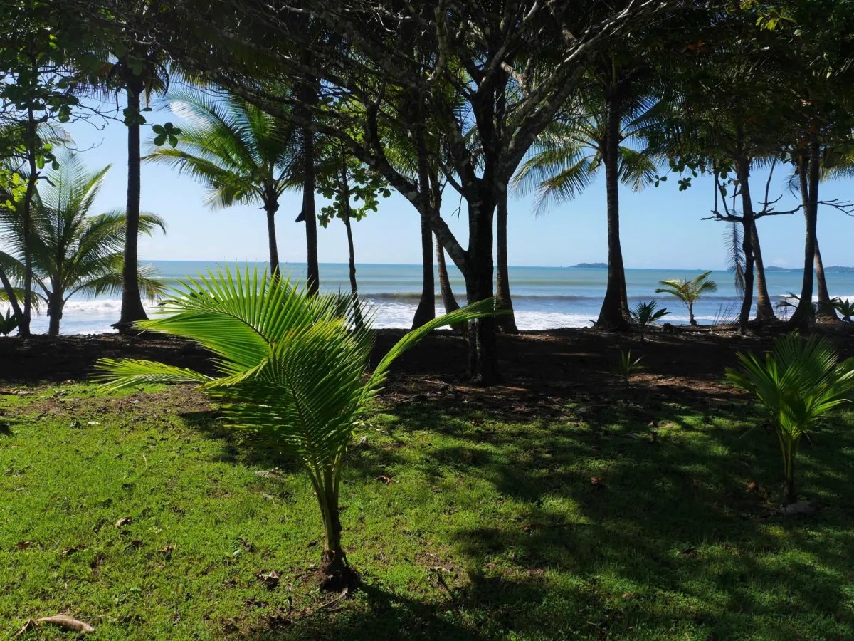 Apartamento à Venda em San Lorenzo