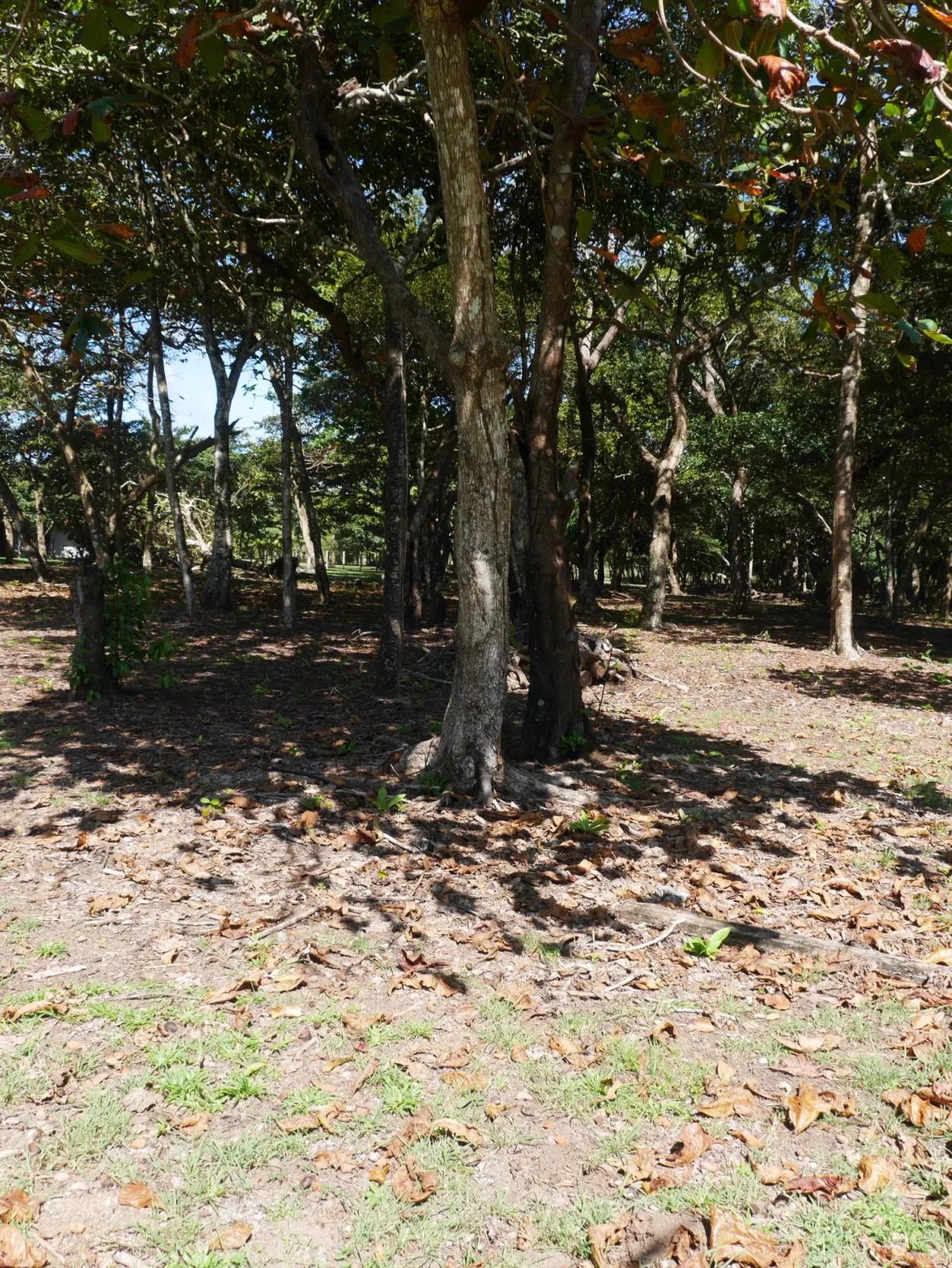 Apartamento à Venda em San Lorenzo