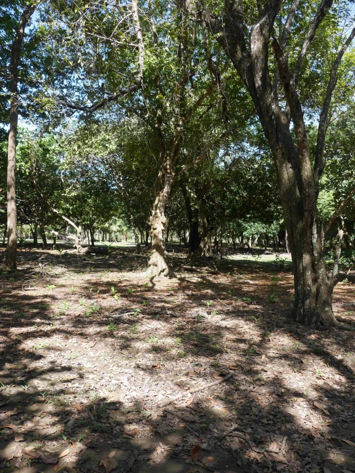 Apartamento à Venda em San Lorenzo