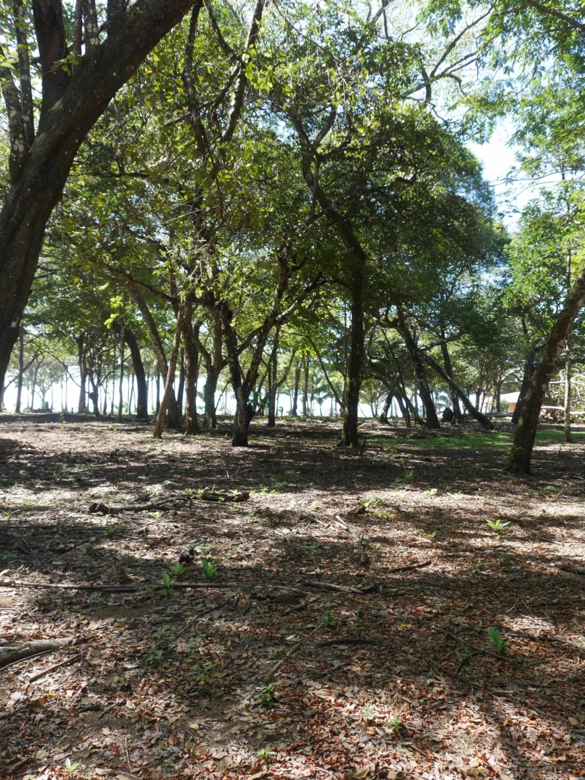 Apartamento à Venda em San Lorenzo