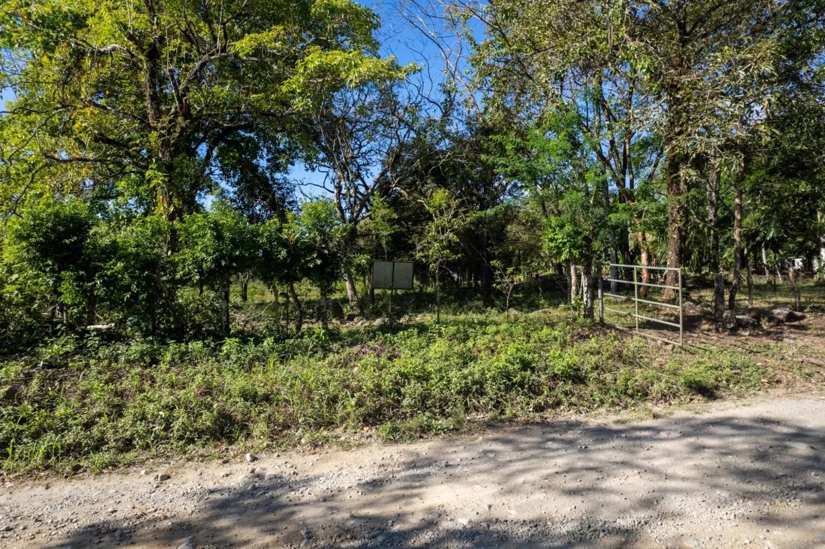 7 Hectares Flat Land, Potrerillios