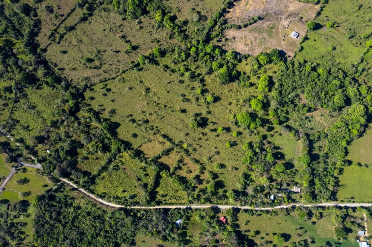7 Hectares Flat Land, Potrerillios