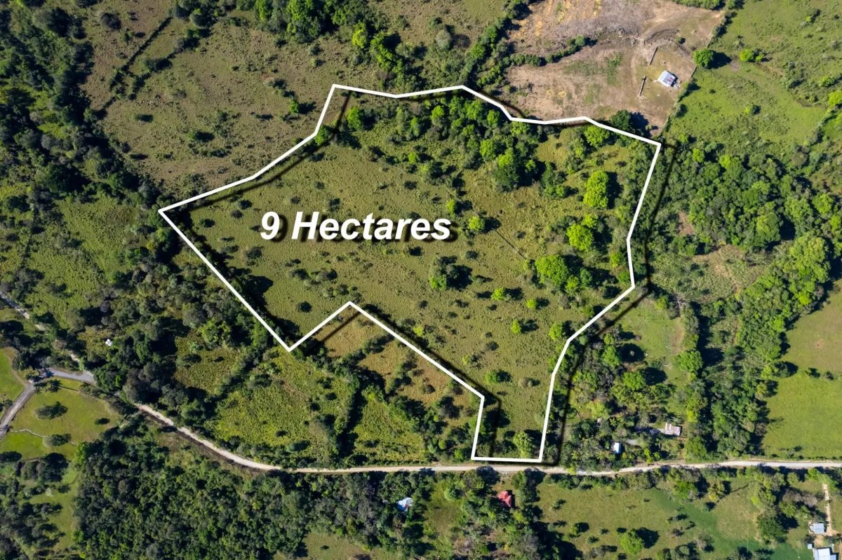 7 Hectares Flat Land, Potrerillios
