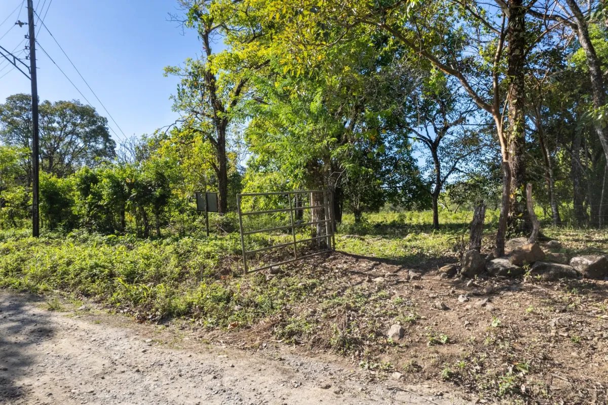 7 Hectares Flat Land, Potrerillios