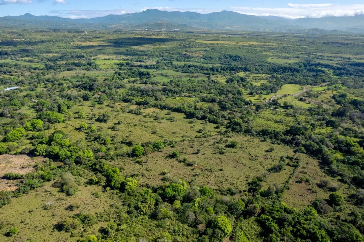 7 Hectares Flat Land, Potrerillios