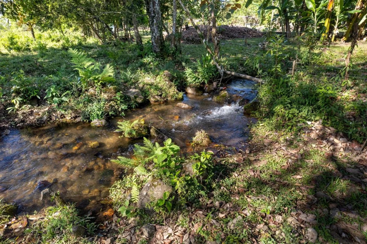7 Hectares Flat Land, Potrerillios