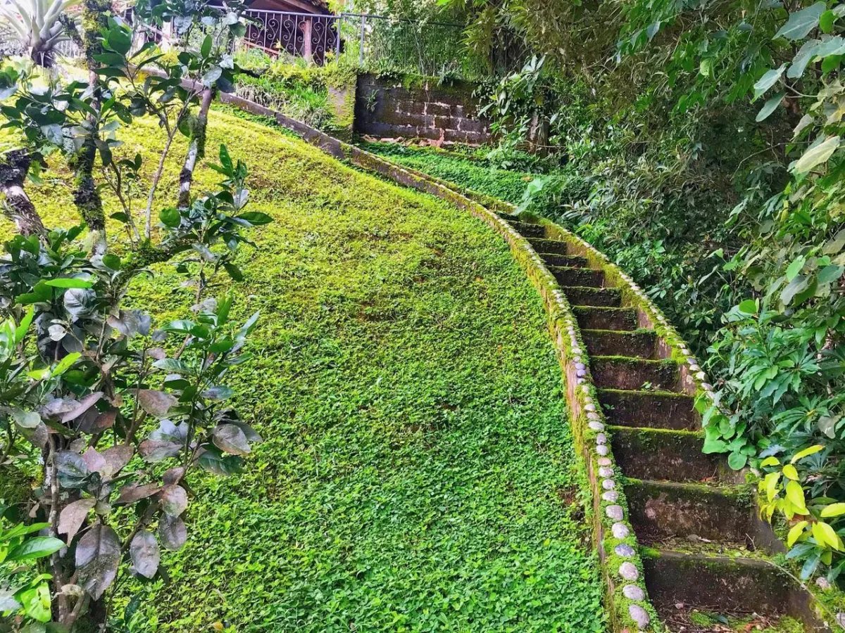 Apartamento à Venda em Boquete