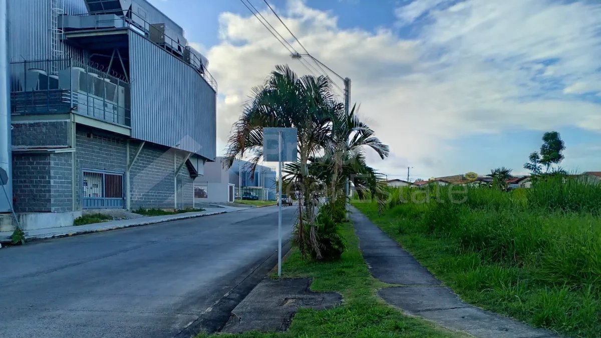 Venta de Terreno Comercial Costa Verde, La Chorrera