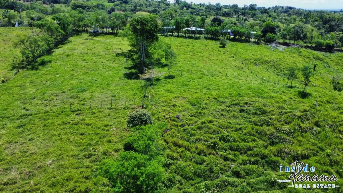 Terreno à Venda em Santa Rosa