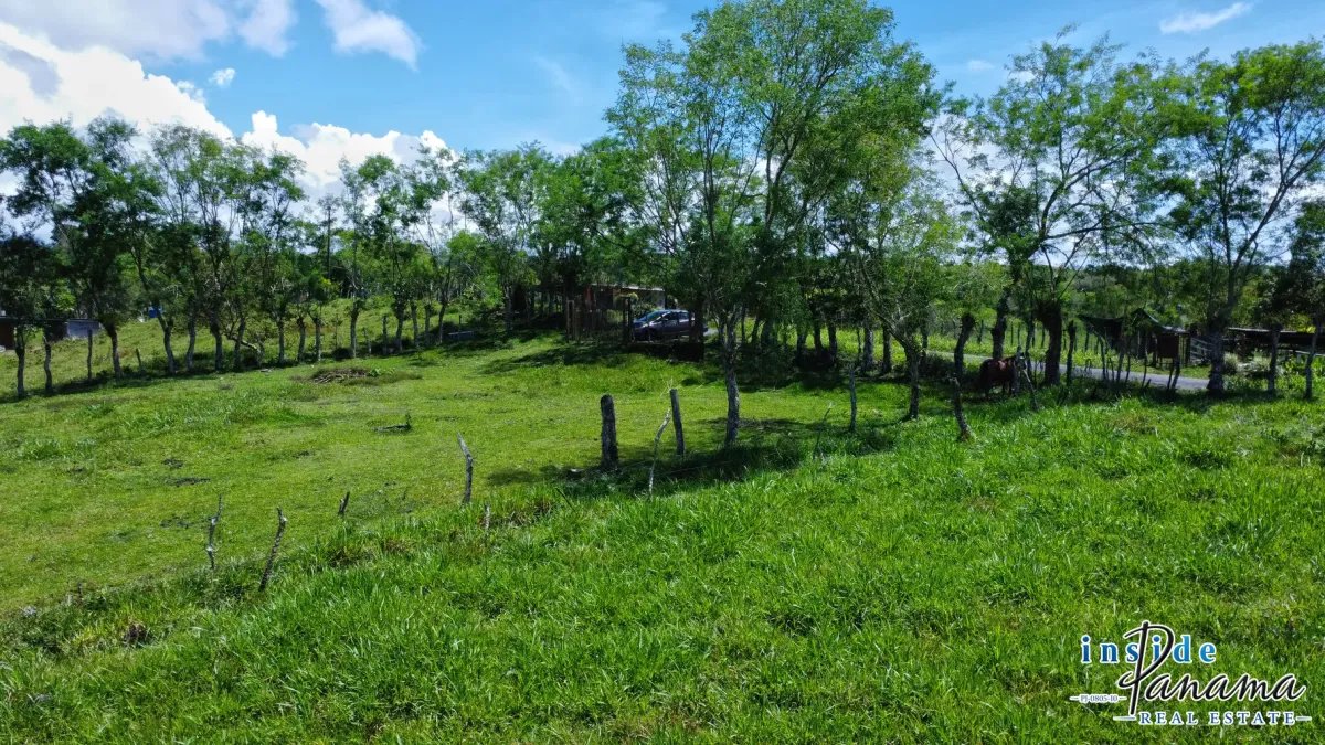 Terreno à Venda em Santa Rosa