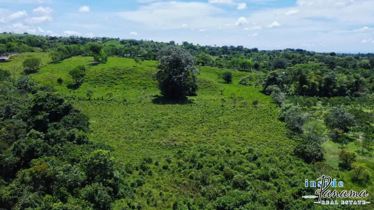 Terreno à Venda em Santa Rosa