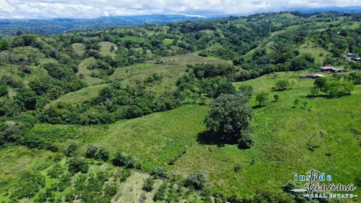 Terreno à Venda em Santa Rosa