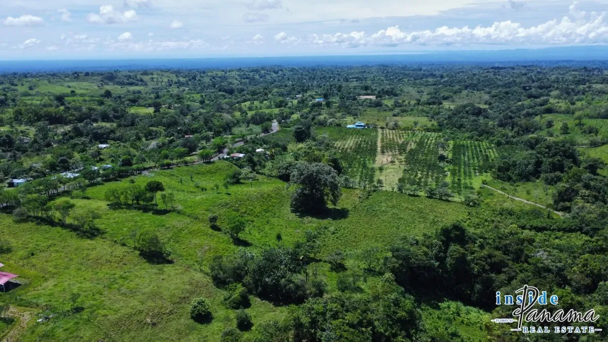 Terreno à Venda em Santa Rosa