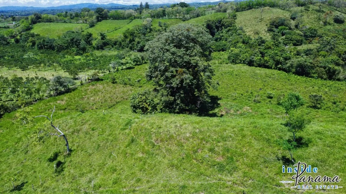 Terreno à Venda em Santa Rosa