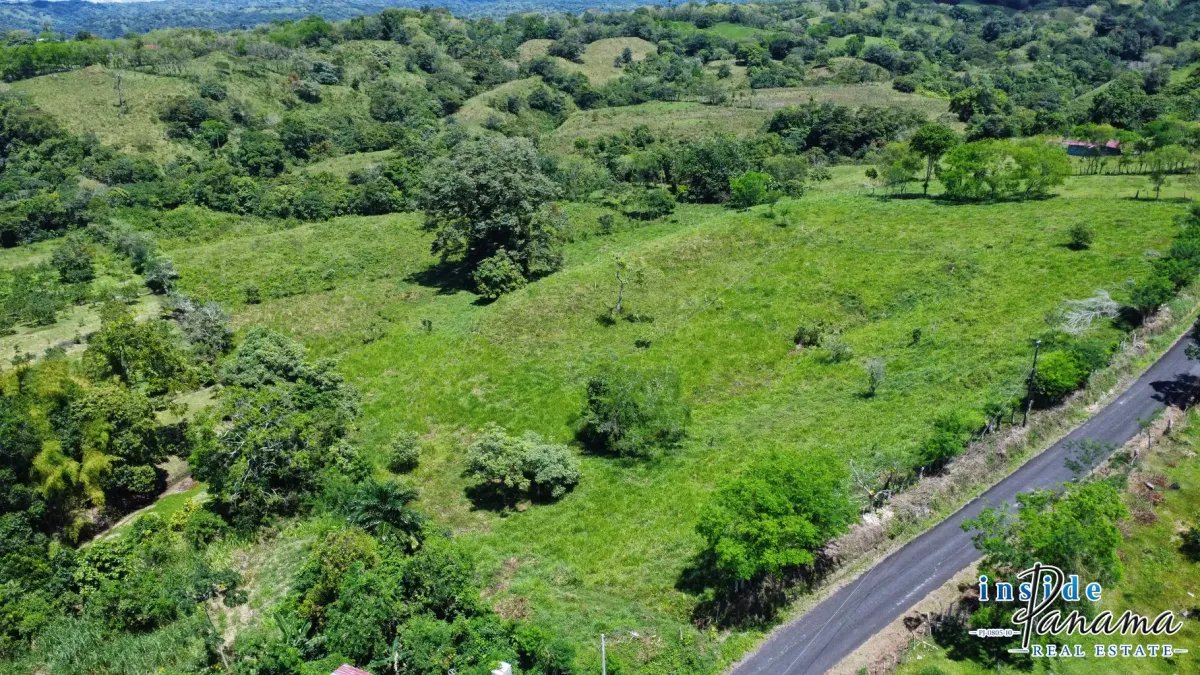 Terreno à Venda em Santa Rosa