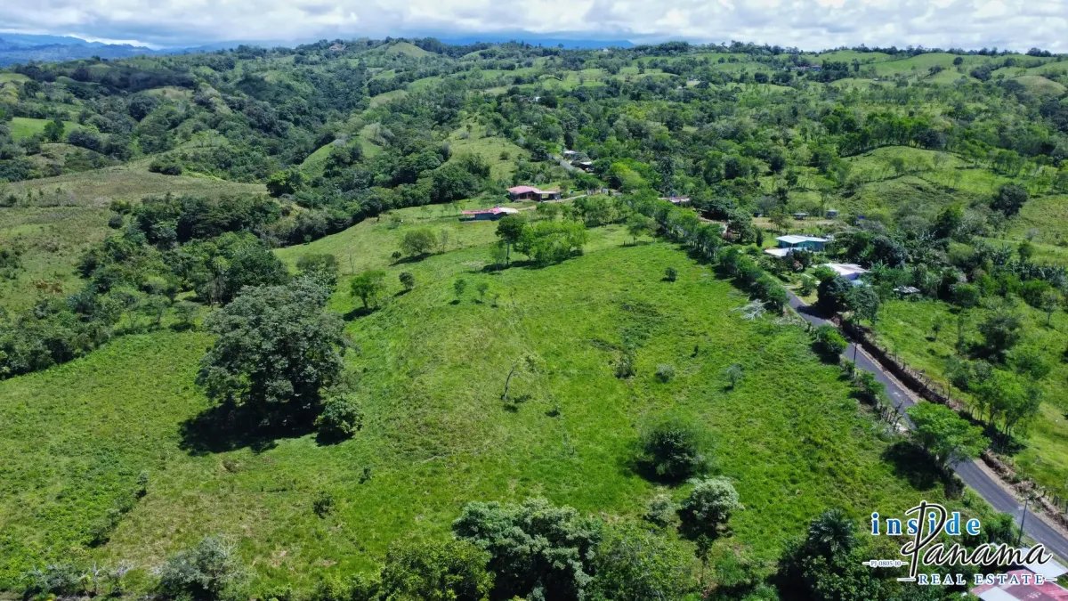 Terreno à Venda em Santa Rosa