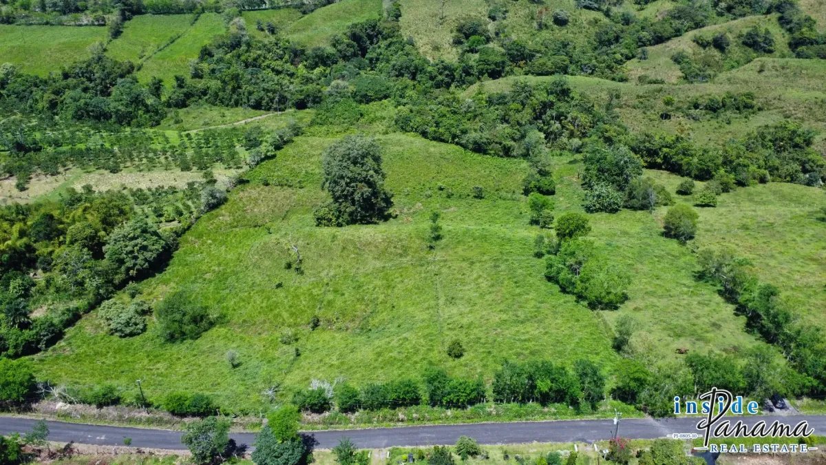 Terreno à Venda em Santa Rosa