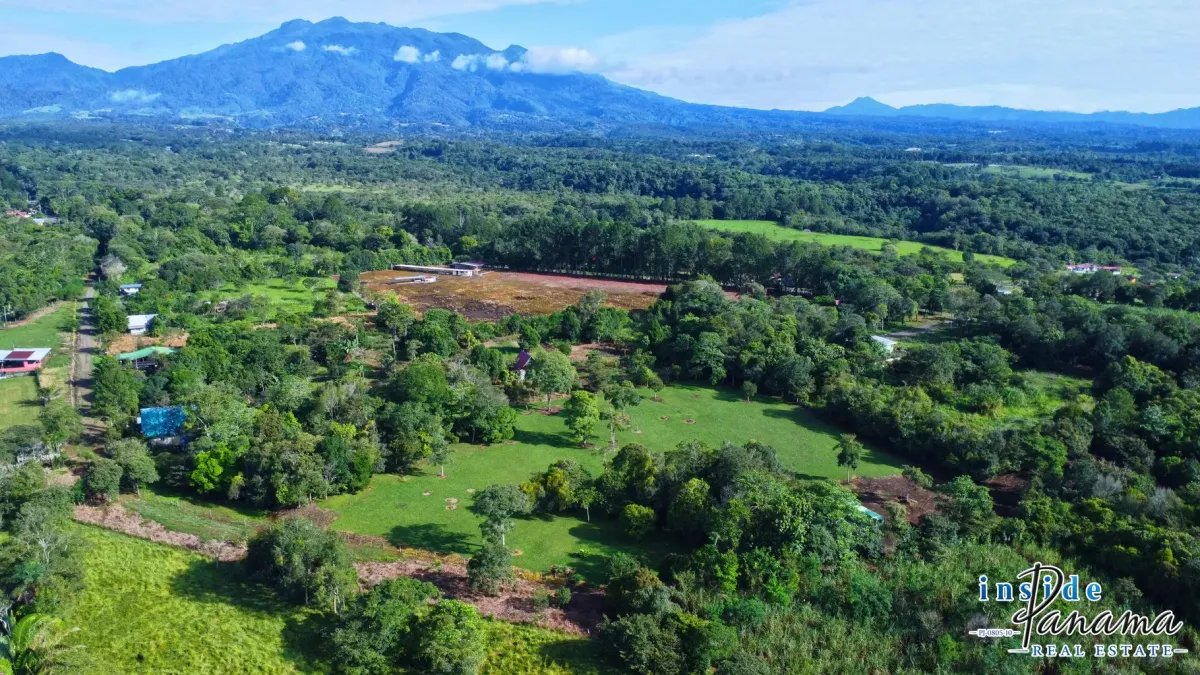Terreno à Venda em Potrerillos