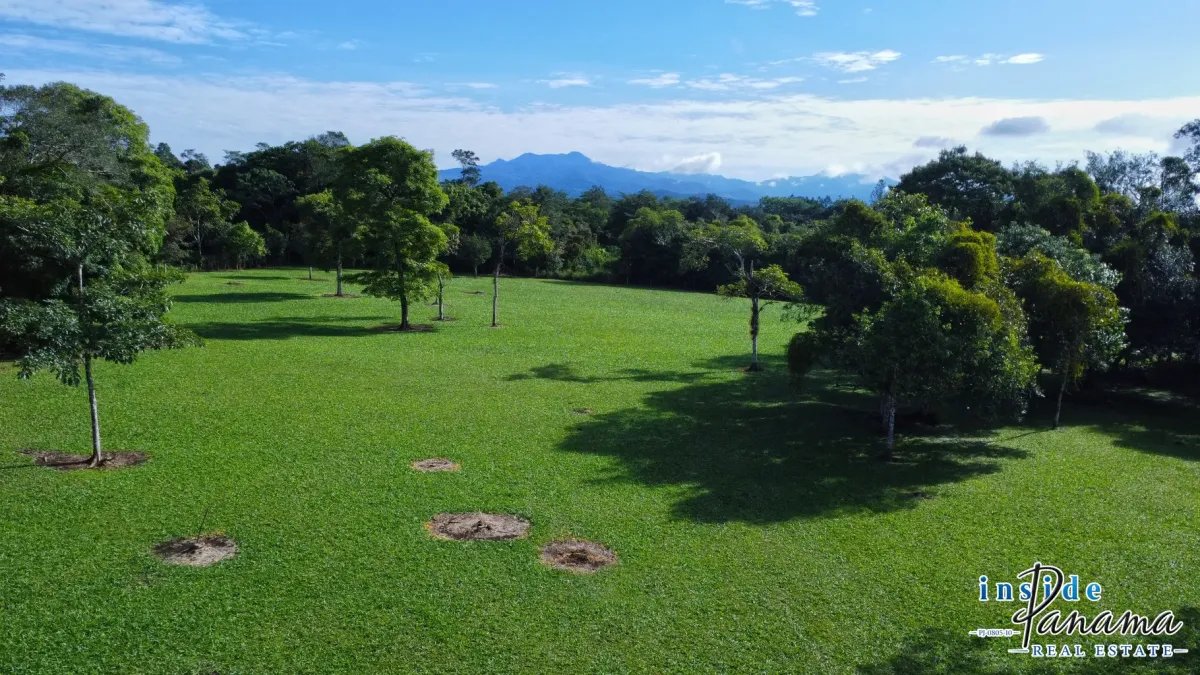 Terreno à Venda em Potrerillos