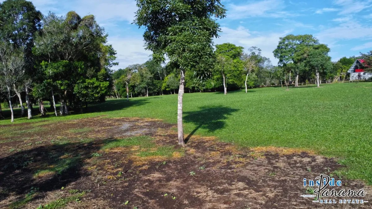 Terreno à Venda em Potrerillos