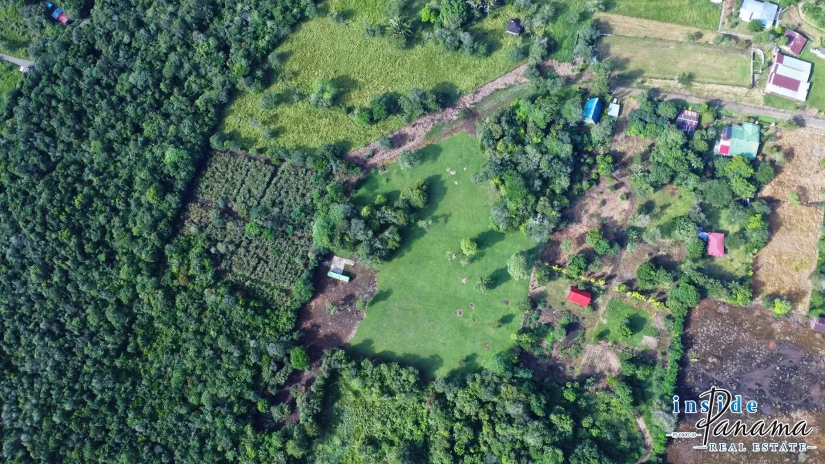 Terreno à Venda em Potrerillos