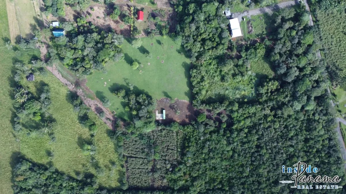 Terreno à Venda em Potrerillos