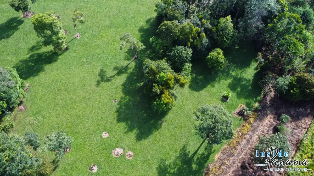 Terreno à Venda em Potrerillos