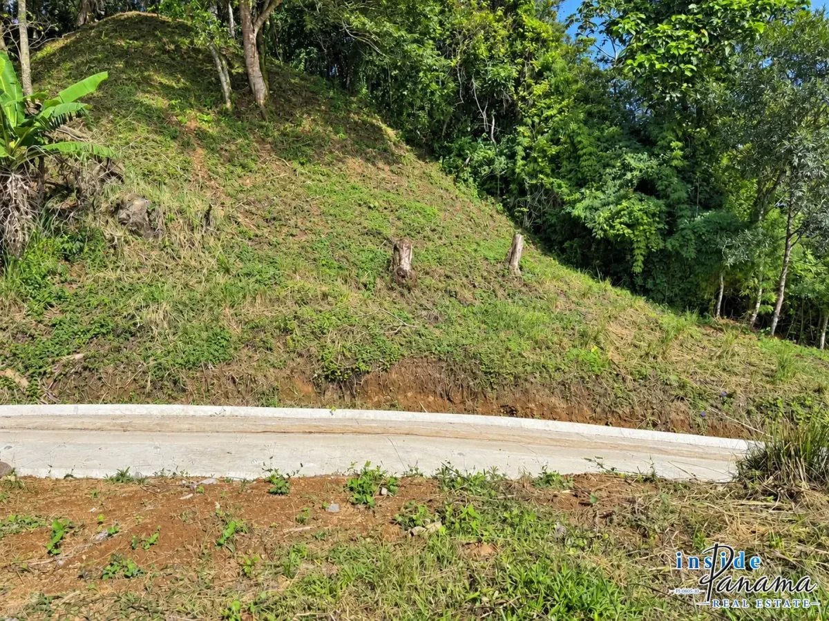 Terreno à Venda em Palmira - Las Tablas