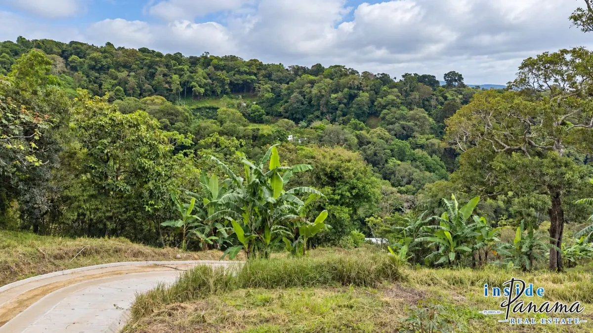Terreno à Venda em Palmira - Las Tablas