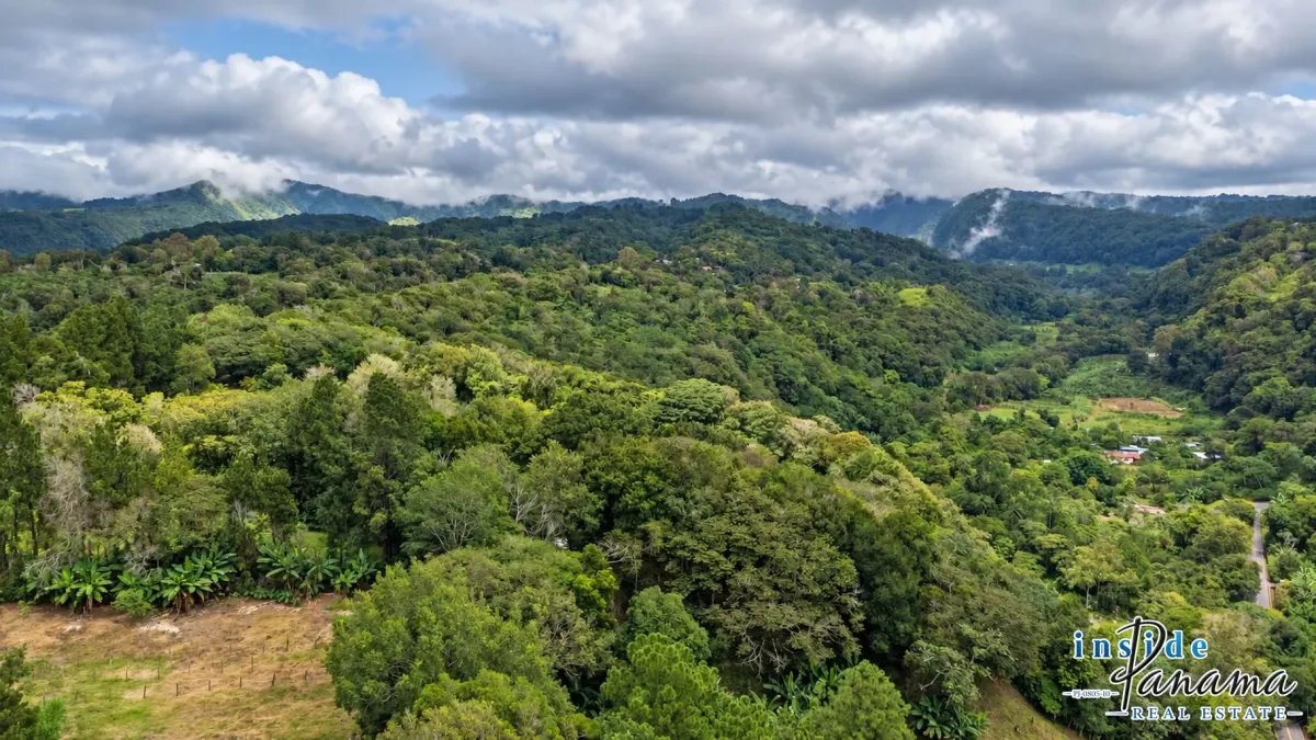 Terreno à Venda em Palmira - Las Tablas