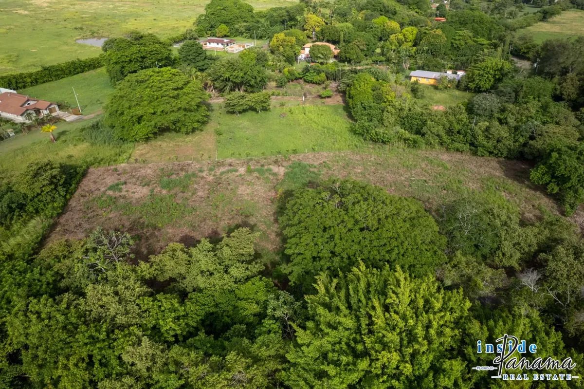 Terreno à Venda em Bejuco