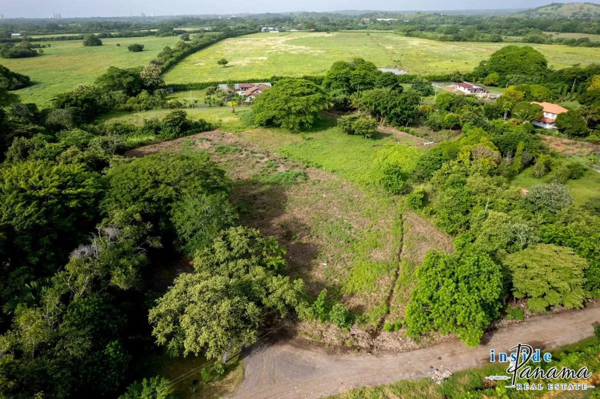 Terreno à Venda em Bejuco