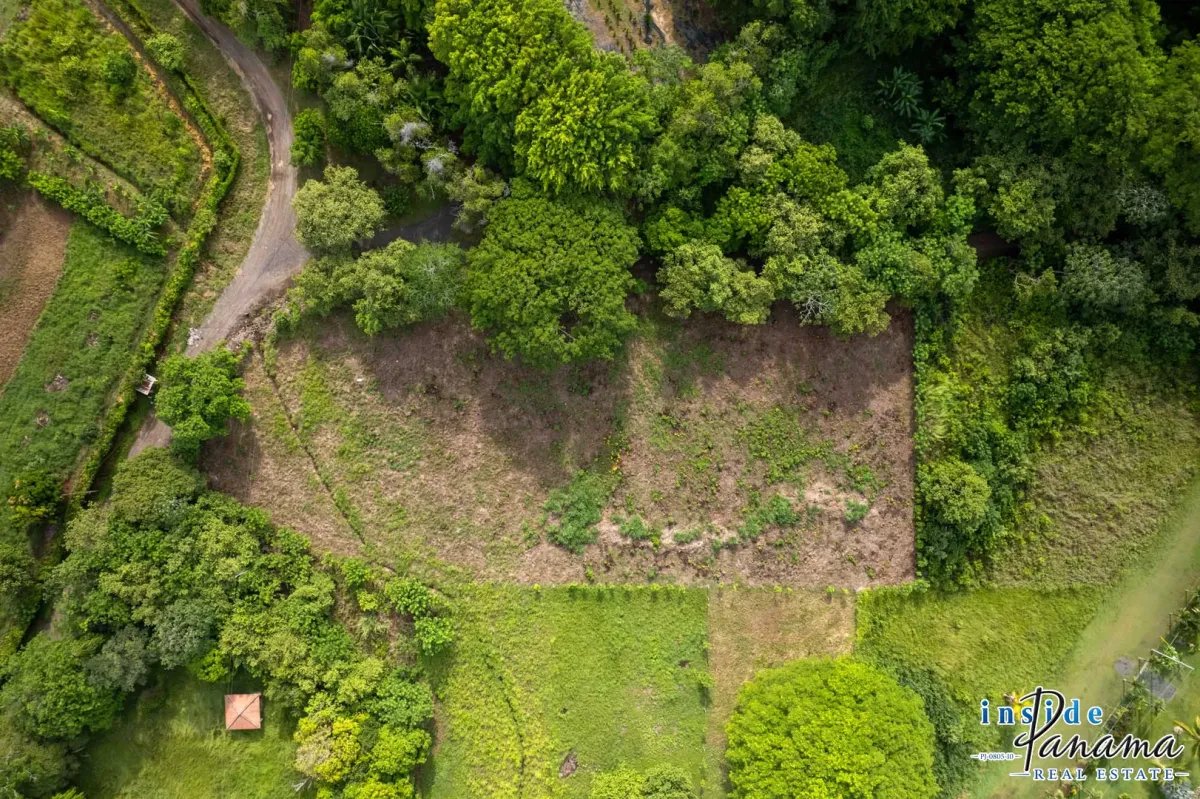 Terreno à Venda em Bejuco
