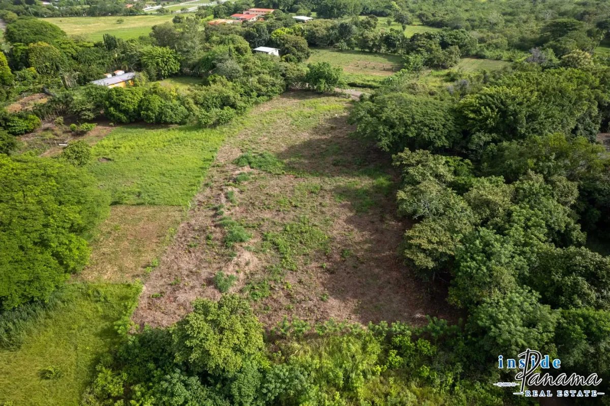 Terreno à Venda em Bejuco