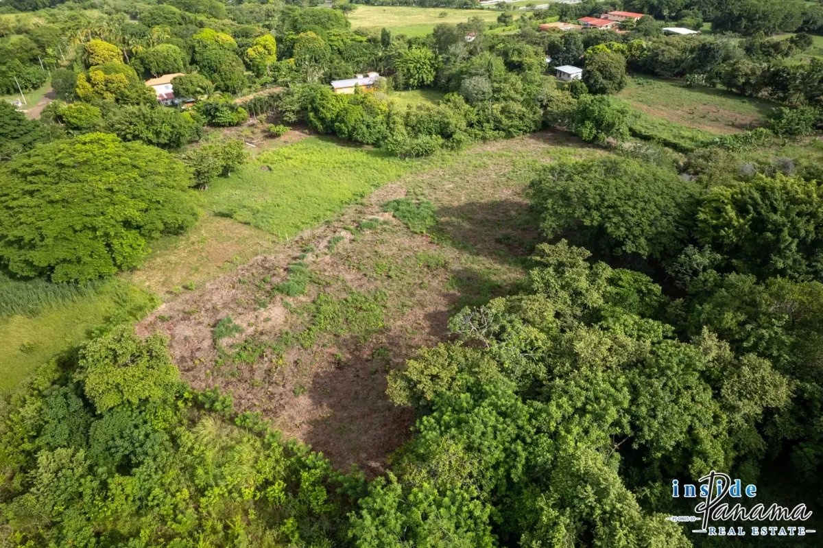 Terreno à Venda em Bejuco