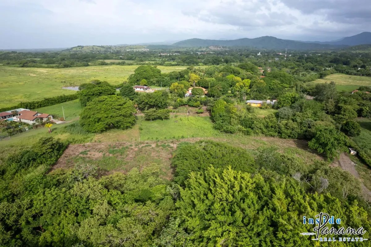 Terreno à Venda em Bejuco