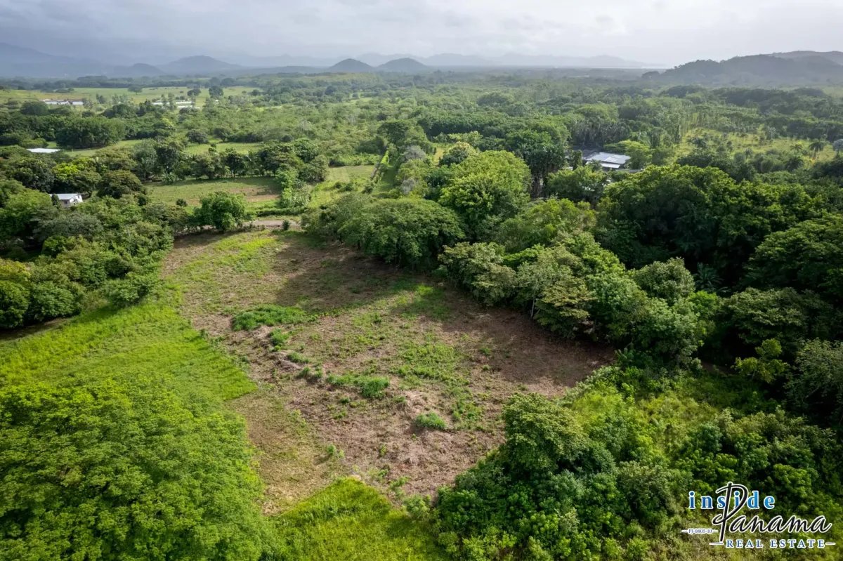 Terreno à Venda em Bejuco