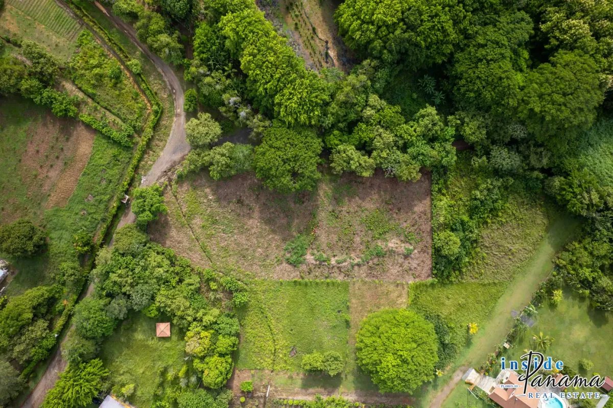 Terreno à Venda em Bejuco